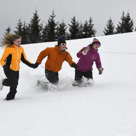 Apartman La Grive Famille & Montagne 4pers By Alpvision Residences *
